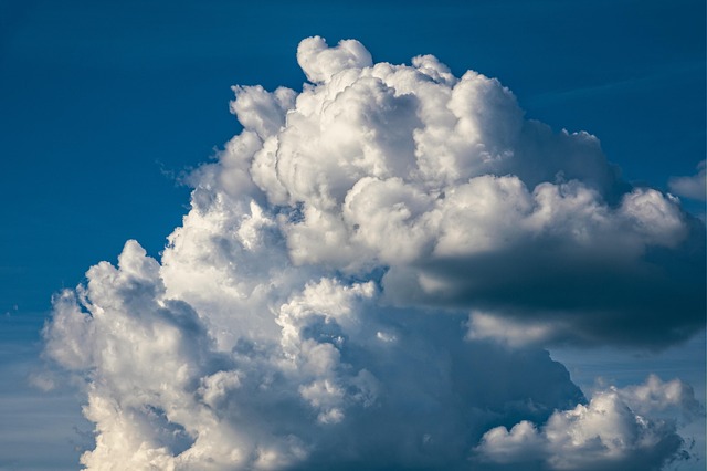 Wie Websites Klimaprojekte unterstützen und CO2 ausgleichen